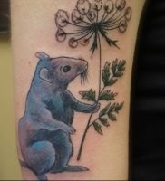 Înțeles rat tattoo meaning, story, photo, sketches of drawings