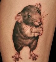 Înțeles rat tattoo meaning, story, photo, sketches of drawings