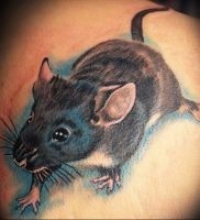 Înțeles rat tattoo meaning, story, photo, sketches of drawings