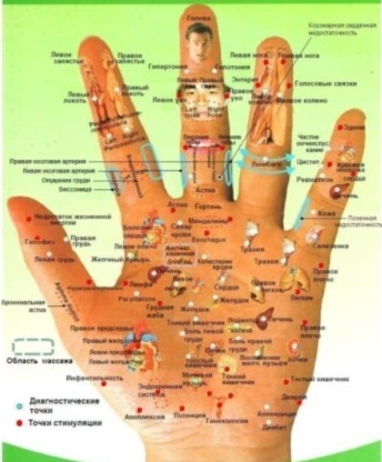 Anatomia - structura omului