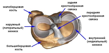 Artroscopia articulației genunchiului - examinare și tratament 