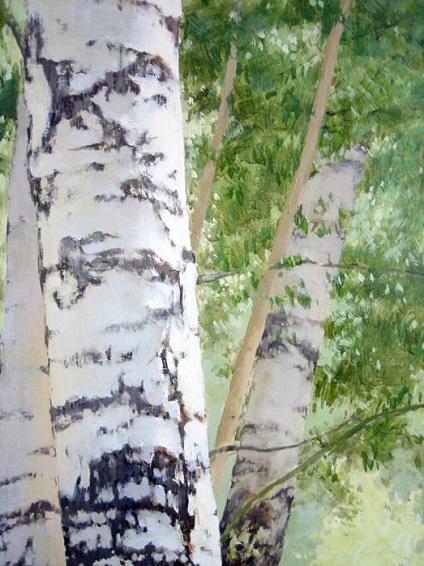 Birch Grove