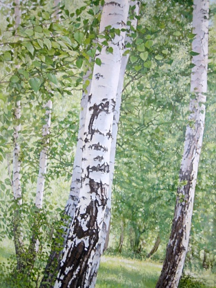 Birch Grove