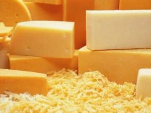 Edények sajt - a recept egy fotó