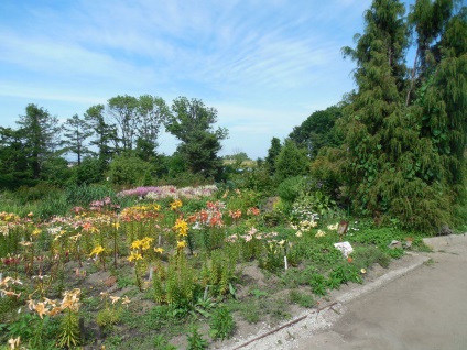 Gradina Botanica din Vladivostok