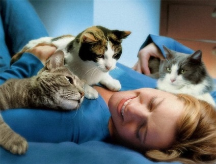 Ce sunt pisicile tratate și pisicile tratează într-adevăr boala unei persoane