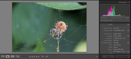 Ce este exif, cum să îl folosiți, fotograf amator?