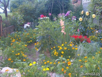 Grădină de flori sub jurnalul de balcon al utilizatorului gylnar