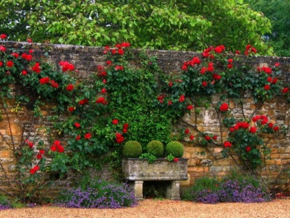 Blossoming garden 17 idei fantastice pentru designul de paturi de flori, care vor deveni o decoratie rafinata a tarii
