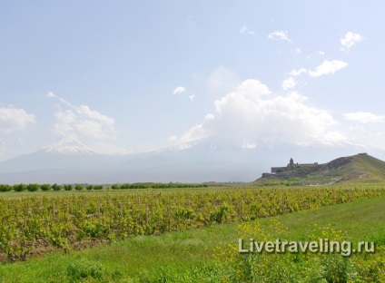 Vizitarea mănăstirii din Armenia și vițelul ararat - calatorii live