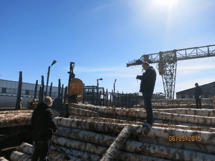 Exportul de lemn rusesc în Turcia