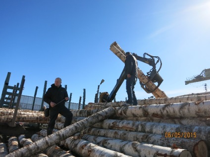 Exportul de lemn rusesc în Turcia
