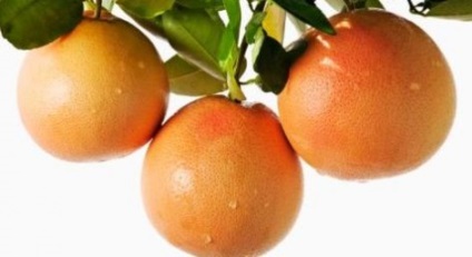 Extractul de semințe de grapefruit este un agent antimicrobian sigur