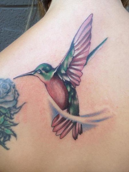 Schițe de flori tatuaje feminine, colibri, fluturi, dantele