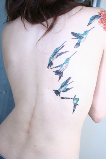 Schițe de flori tatuaje feminine, colibri, fluturi, dantele