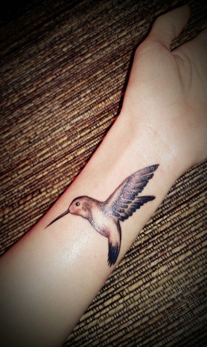 Schițe de flori tatuaje feminine, colibri, fluturi, dantele