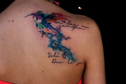 Schițe de flori tatuaje feminine, colibri, fluturi, dantele