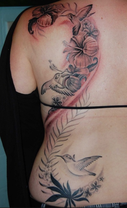 Schițe de flori tatuaje feminine, colibri, fluturi, dantele