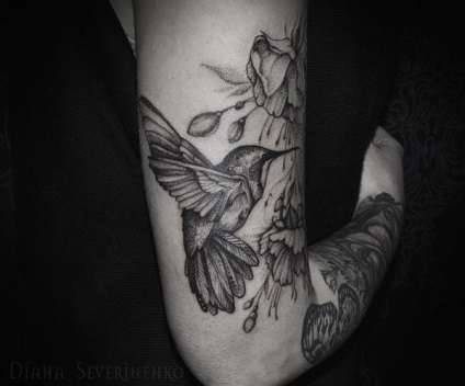 Schițe de flori tatuaje feminine, colibri, fluturi, dantele