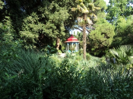 Fotografie de grădina botanică Nikitsky din Crimeea cum să ajungi din Yalta, o călătorie în lumea naturii