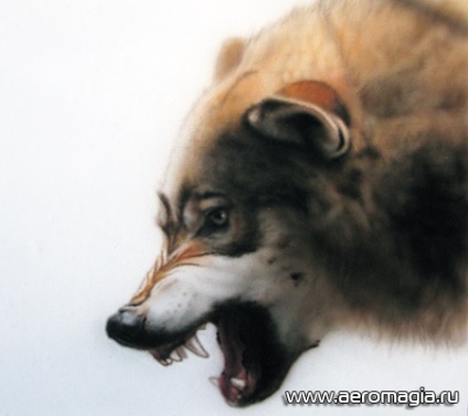 Lecție de fotografie cum să atragă o airbrush lup