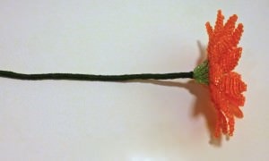 Gerbera gyöngyös szép virágok saját kezűleg (fotó) (a végén a huzal) Gerbera gyöngyös szép virágok saját kezűleg (fotó)