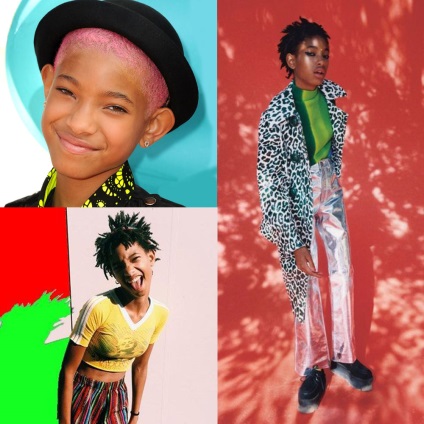 Din ce constă Willow Smith, buro 24