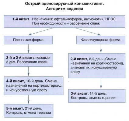 Cum de a vindeca rapid tratamentul conjunctivitei decât la copii, simptome, alergice, bacteriene, cu