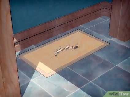 Cum să scapi de centipede