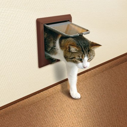 Cum să dotezi intrarea la toaletă pentru o pisică