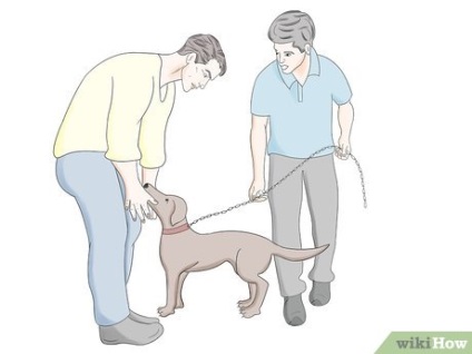 Cum să pregătiți un câine pentru a participa la un program de televiziune
