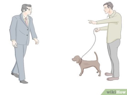 Cum să pregătiți un câine pentru a participa la un program de televiziune