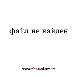 Как да станем приятели и автоматично стартиране имобилайзер aps6 без робота - Виж темата