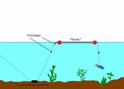 Cum să prindeți un somn pe un măgar de la țărm până la oceanele Oximei și afluenții săi