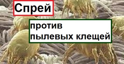 Cum se prepară un spray pentru a combate acarienii de praf - un pas spre sănătate