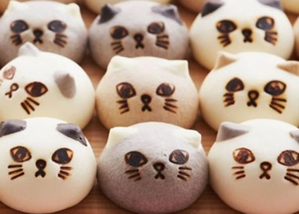 Cum să pregătești gustări sau produse de patiserie dulci cu imaginea de pisoi, o pisică