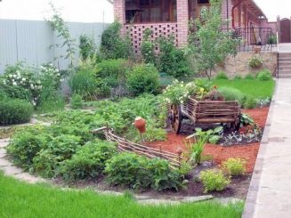 Hogyan készítsünk egy tervet a kert telek