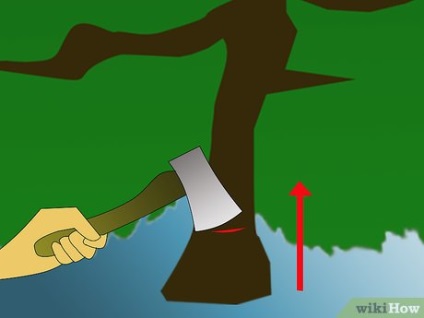 Hogyan gyűjtsünk a fenyőfa sap