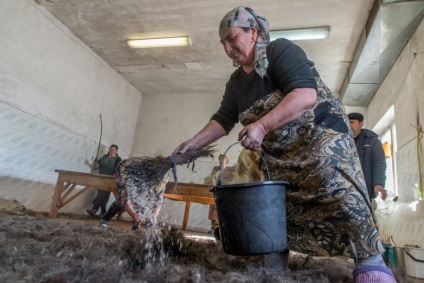 Cum în Dagestan face burki