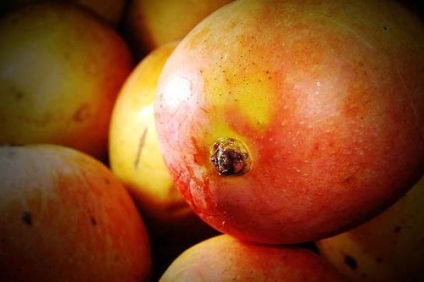 Cum sa alegi un mango pentru a maximiza beneficiile si gustul