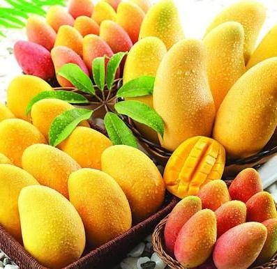 Cum de a alege un mango pentru a maximiza beneficiile și gustul