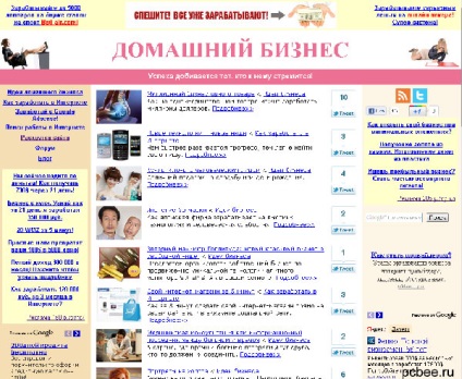 Cum să câștigi pe ruble pe Internet o lună la o casnică obișnuită