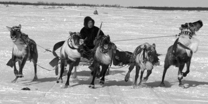 Cum au trăit adevărații Siberieni din trecutul îndepărtat, camera din Novosibirsk