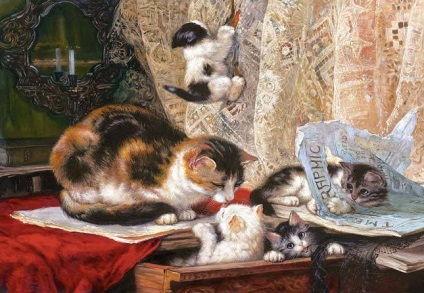 Imagini cu pisici - pisica vasya - totul despre pisici