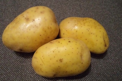Caracterizarea cartofului - coroana a varietatii, descrierea, fotografiile si secretele cultivarii