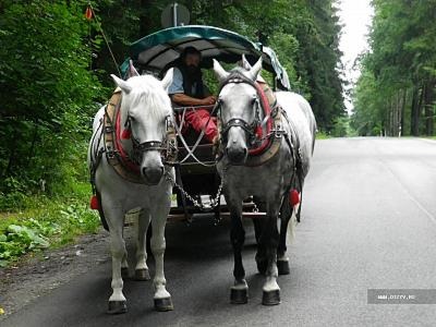 Königstein și Bastai