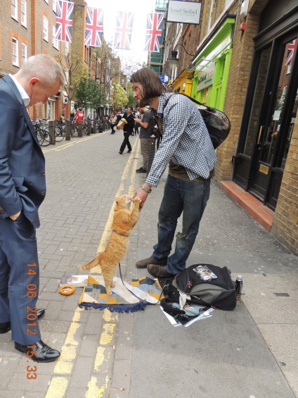 Könyvek - utcai macska nevű Bob - és - szemével egy macska bab - James Bowen