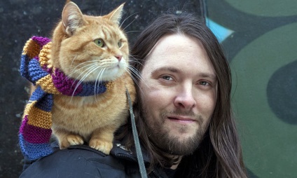 Könyvek - utcai macska nevű Bob - és - szemével egy macska bab - James Bowen