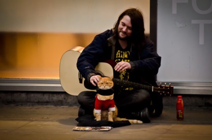 Cărți - o pisică de stradă numită Bob - și - lumea prin ochii unei pisici de fasole - James Bowen