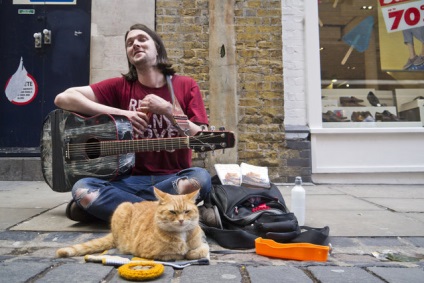 Cărți - o pisică de stradă numită Bob - și - lumea prin ochii unei pisici de fasole - James Bowen